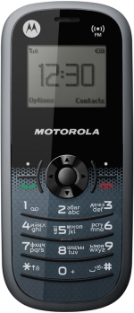 Motorola WX161