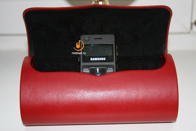 Samsung SGH-F300