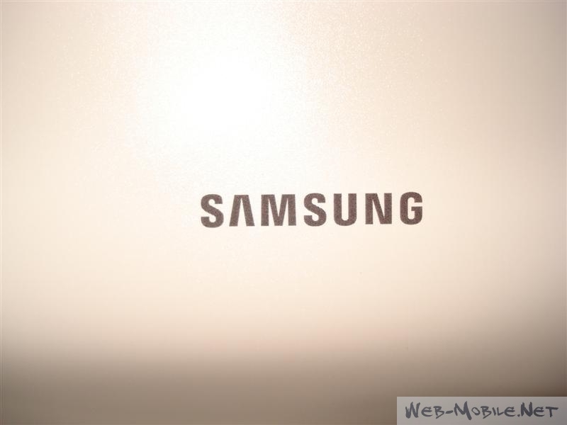 Samsung SGH-X820